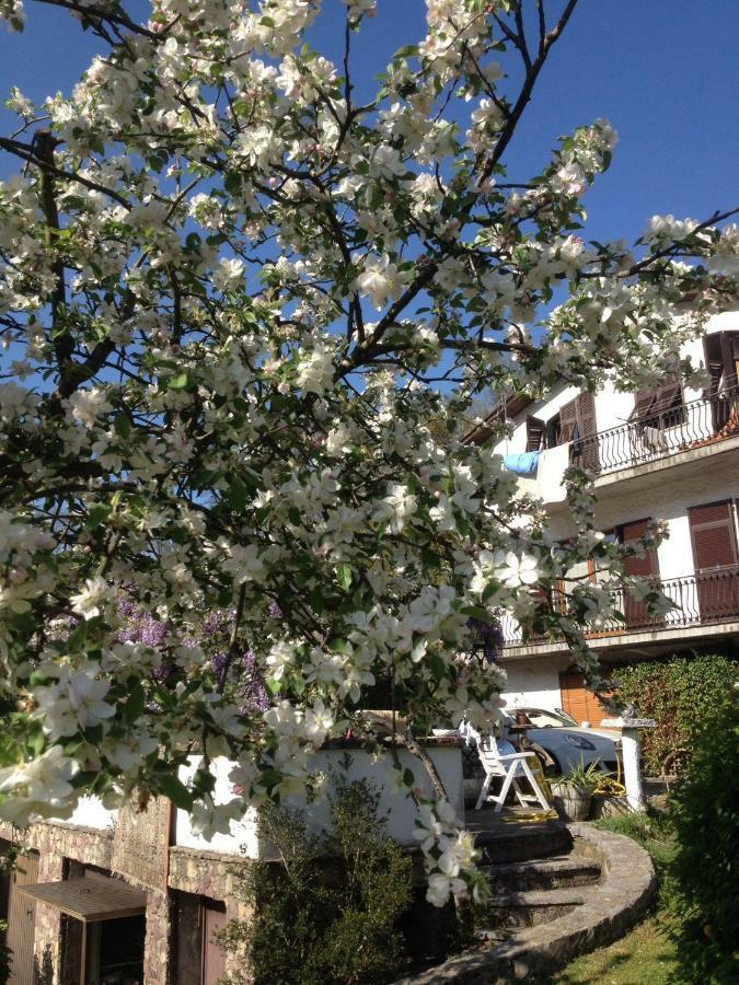 Il Ghiro B&B Riccò del Golfo di Spezia Exterior foto